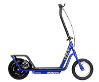 GT-200 (2005 & Older) Electric Scooter Parts